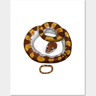 Cute Anaconda Drawing Posters and Art